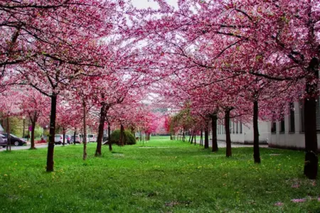 Reisen auf slowenischen Autobahnen – Sehenswürdigkeiten in der Nähe und Ferne