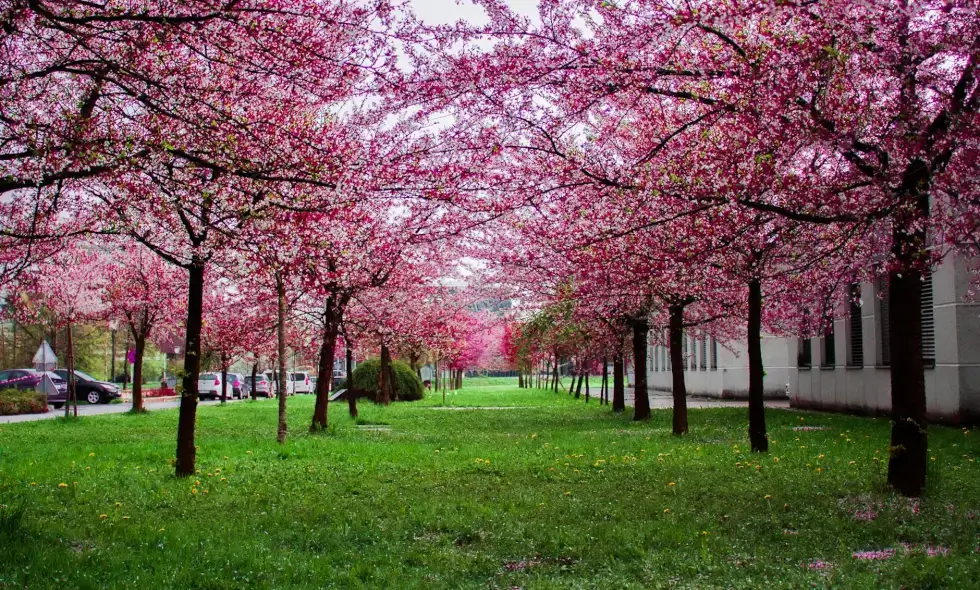 Putovanja autoputem kroz Sloveniju – znamenitosti u blizini i na daljinu