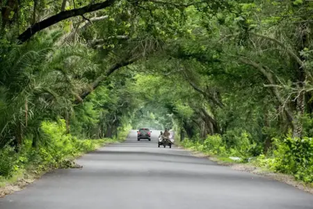 Autobahn in der Umgebung von Kysuce: vier Minuten Zeitersparnis. Minister Ráž hat die dritte Mega-Ausschreibung angekündigt. Zunächst sind erhebliche Einschränkungen zu erwarten.