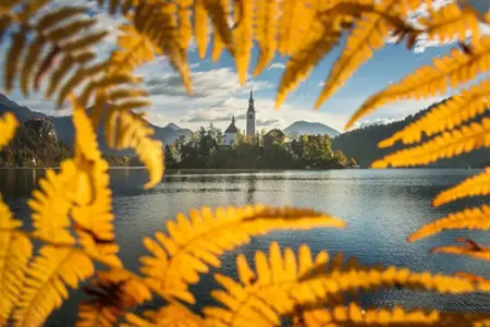 Купля вiн'еткi для славацкай аўтастрады