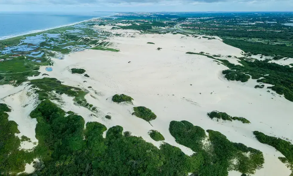 Het Hongaarse Tolvignet Systeem en Onze Contactgegevens