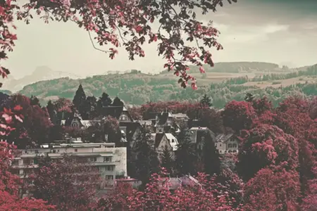Schwedens zauberhafte Routen über die Autobahn