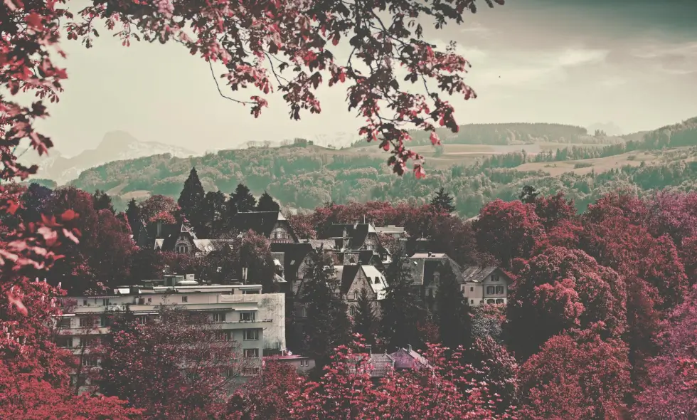 Чароўныя дарогі Швецыі праз аўтамагістраль вядуць