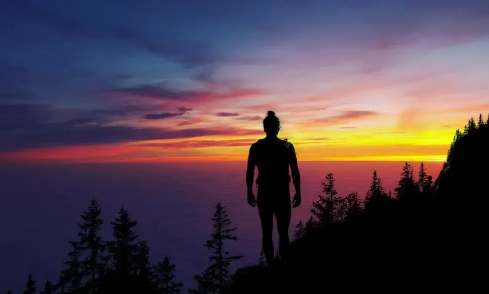 Покупка на словенска винетка