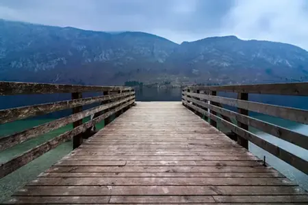 2024 Kupovina e-vinjete Slovenija - struktura slovenačke mreže autoputeva