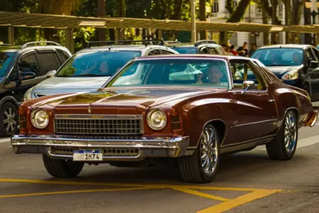 Купля австрыйскай вiньетки онлайн