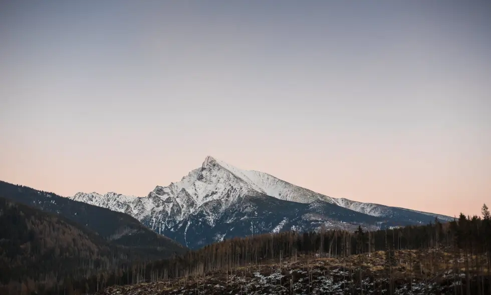 Nákup slovenské dálniční známky: možnosti cestování autem na Slovensku