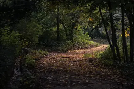 Autoput kroz Bugarsku: mogućnosti putovanja i kupovina e-vinjete
