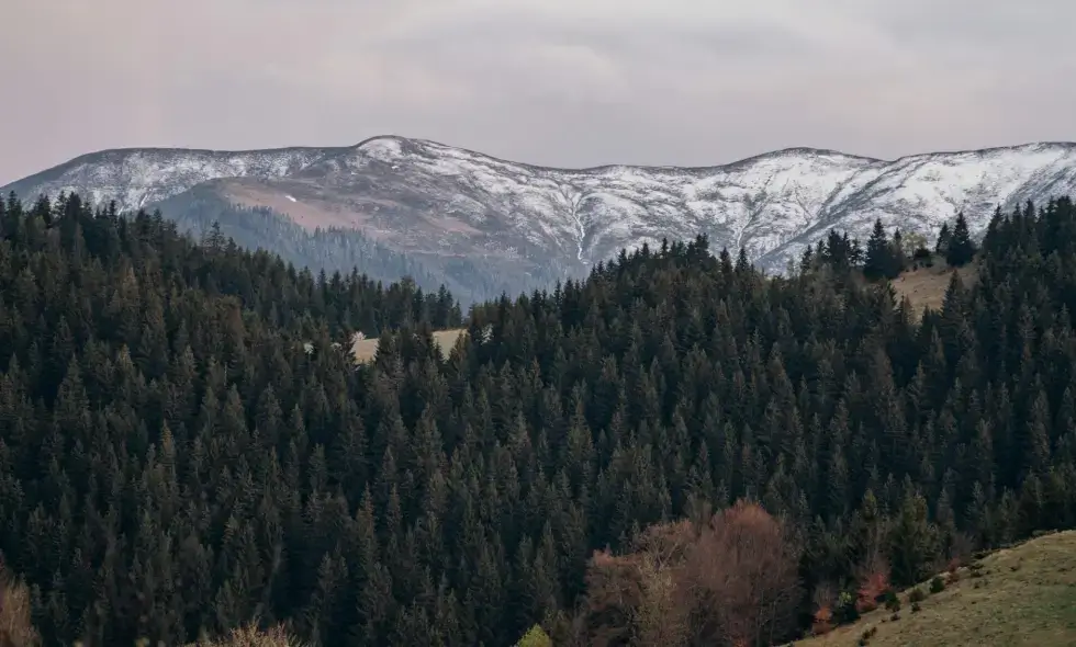 Acquisto della Vignetta Rumena e Consigli di Viaggio