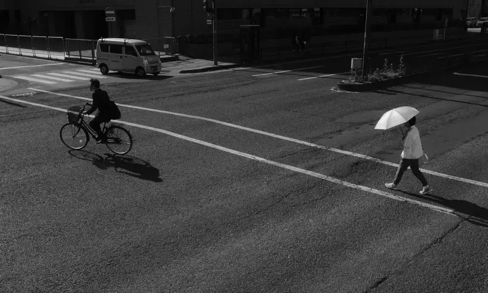 Online tolvignet kopen voor Slovenië