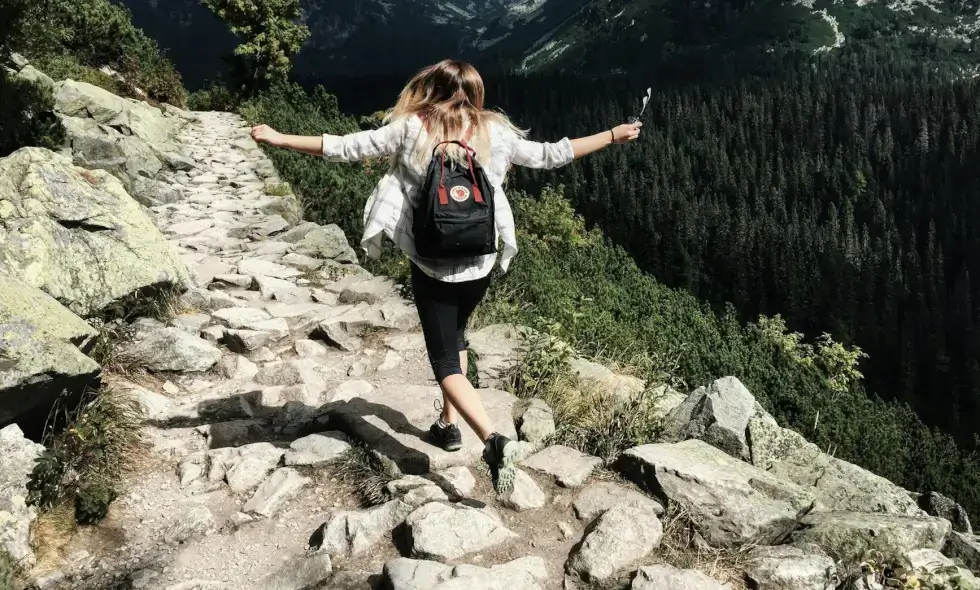 Slovakya vi̇nyet satın alma