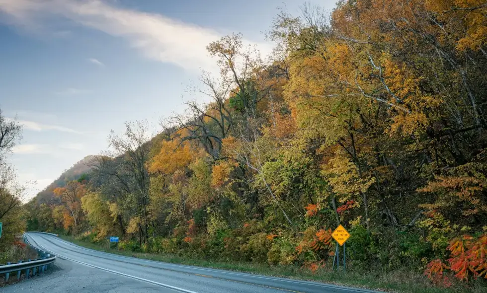 Die Vignette für 2025 ist offiziell erhältlich: Neue Preise und mehrere Änderungen erwarten die Autofahrer.