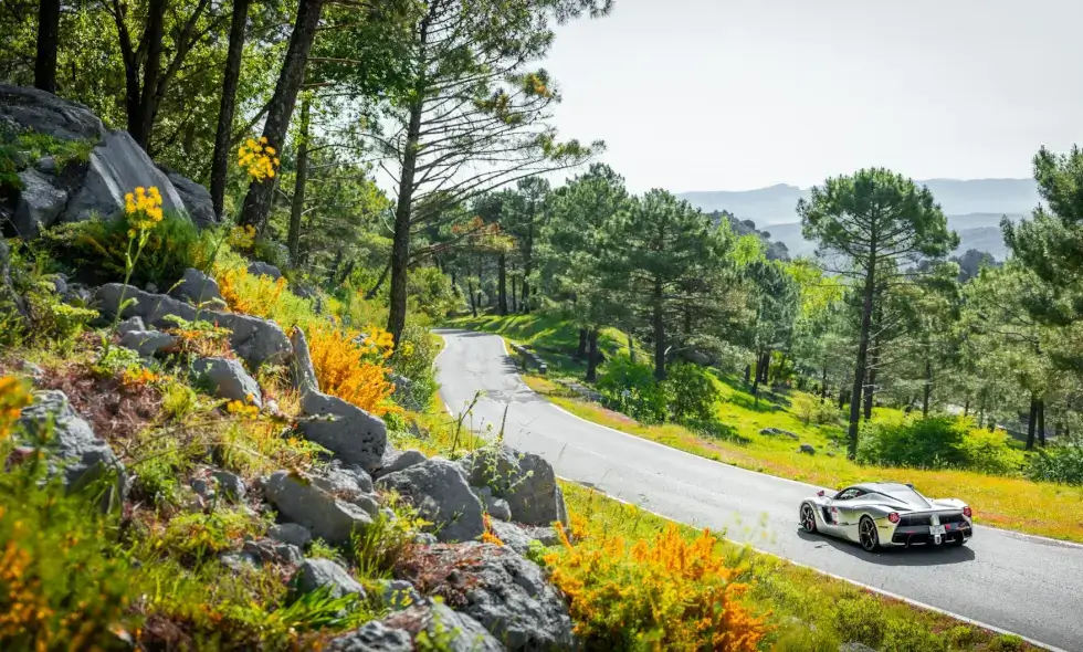 2025 için Çek vinyet bilgileri