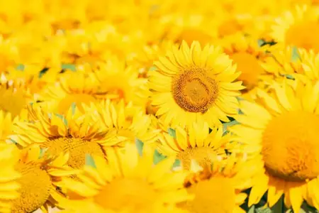 Cíle dostupné na dálnicích v Maďarsku