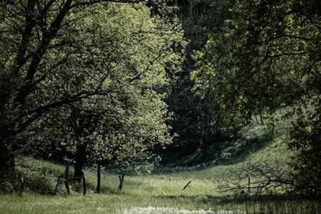 Češka avantura na autoputu: otkrivanje na četiri točka