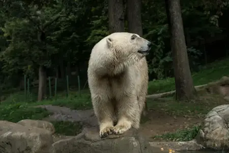 Магчымасці перамяшчэння па аўтастрадзе ў Чэхіі з вiнэткай