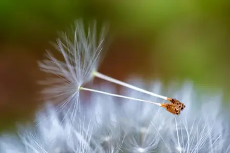 Reisen auf slowenischen Autobahnen: Erlebnisse, Sehenswürdigkeiten, Wissenswertes