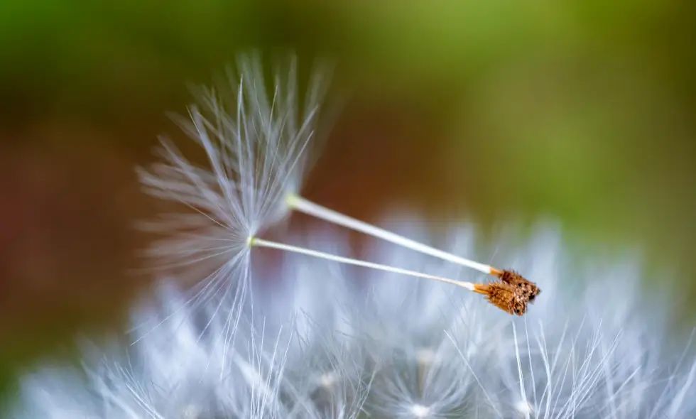 Пътувания по магистралите на Словения: преживявания, забележителности, полезна информация