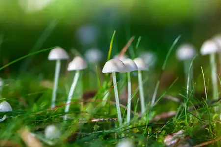 Зручныя падарожжы па чэшскіх аўтадарогах