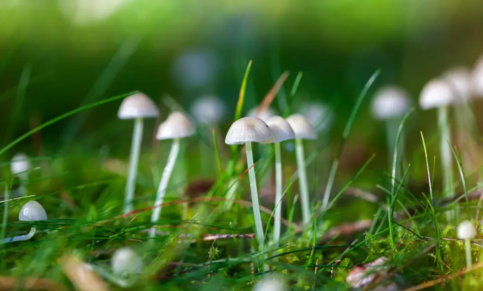 Pohodlné cestování po českých dálnicích