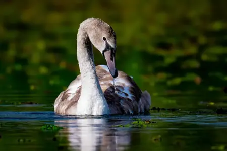 Autoputevske destinacije u Rumuniji: udoban i brz pristup