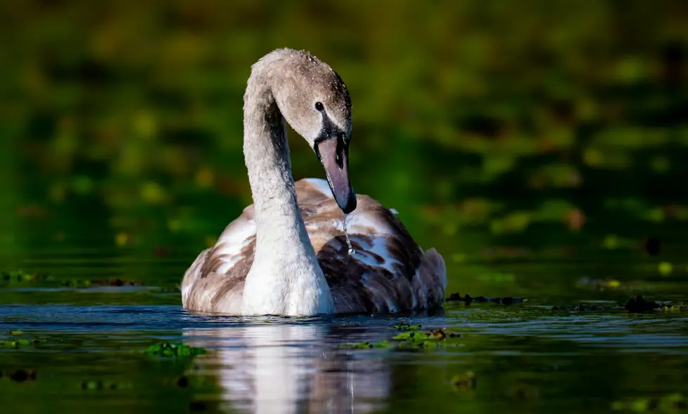 Autoputevske destinacije u Rumuniji: udoban i brz pristup
