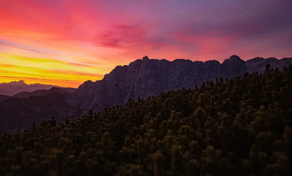 Zázraky slovinských diaľníc