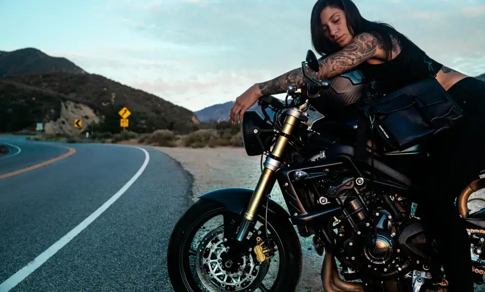 Kaufen Sie das Autobahnsystem und die Aufkleber für Moldawien