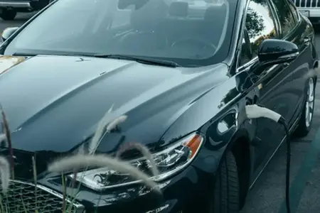 Çevrimiçi İsviçre Vi̇nyet Satın Alma