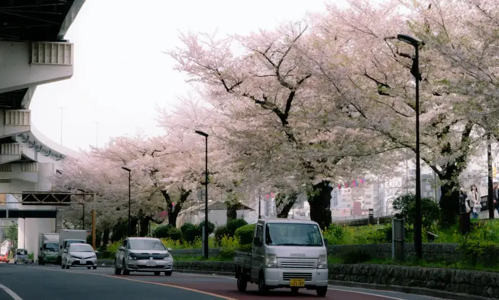 Транспорт в Румъния и онлайн покупка на винетка
