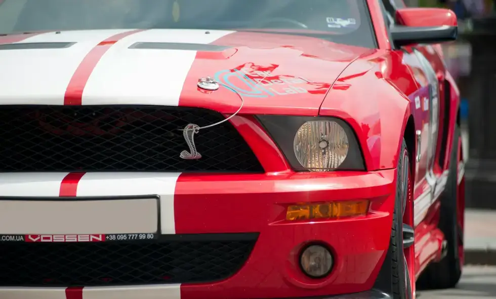 Transport i winiety w Bułgarii