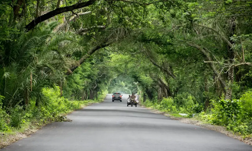 Autobahn in der Umgebung von Kysuce: vier Minuten Zeitersparnis. Minister Ráž hat die dritte Mega-Ausschreibung angekündigt. Zunächst sind erhebliche Einschränkungen zu erwarten.