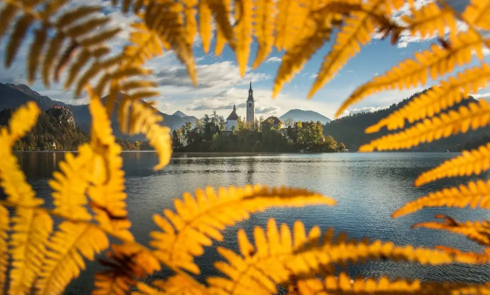 Purchase of Slovenian e-Vignette