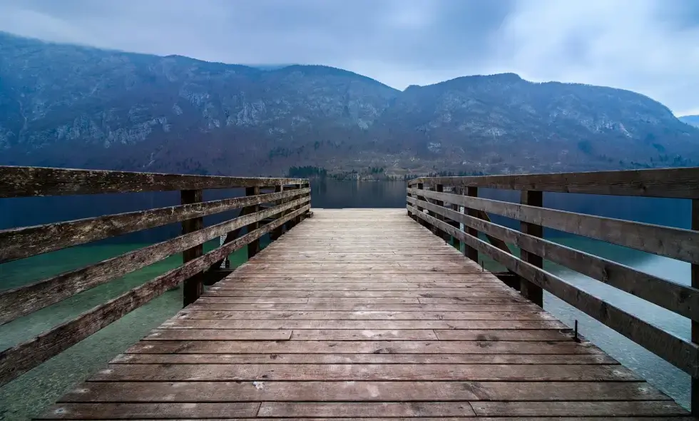 Nakup e-vinjete 2024 za Slovenijo - struktura slovenskega avtocestnega omrežja