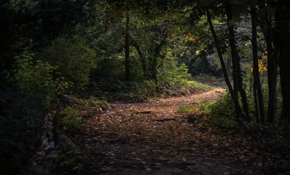 Putovanje autocestom kroz Bugarsku: mogućnosti putovanja i kupovina vinjete