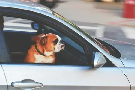 **Achiziție online vignetă pentru autostrada din Slovenia**