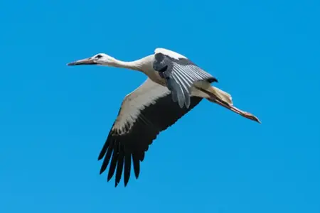 Unterwegs auf den slowakischen Autobahnen: Reiseerlebnisse und Wissenswertes