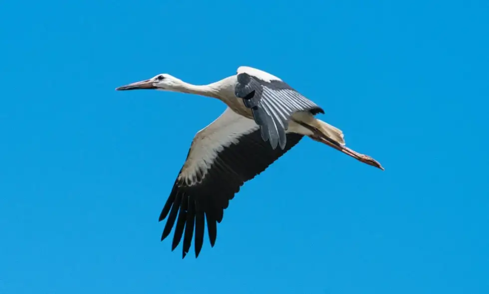 Unterwegs auf den slowakischen Autobahnen: Reiseerlebnisse und Wissenswertes