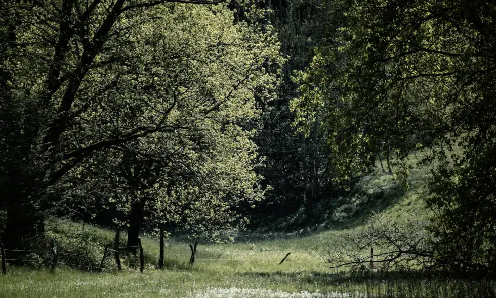Cseh autópályakaland: felfedezés négy keréken