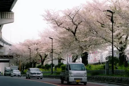 Verkehr in Rumänien und Online-Kauf der Vignette