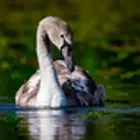 Romanian motorway destinations: convenient and fast access