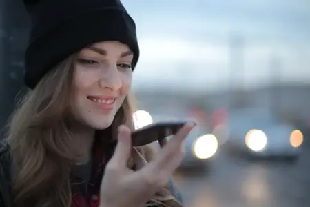 Покупка австрийской виньетки онлайн