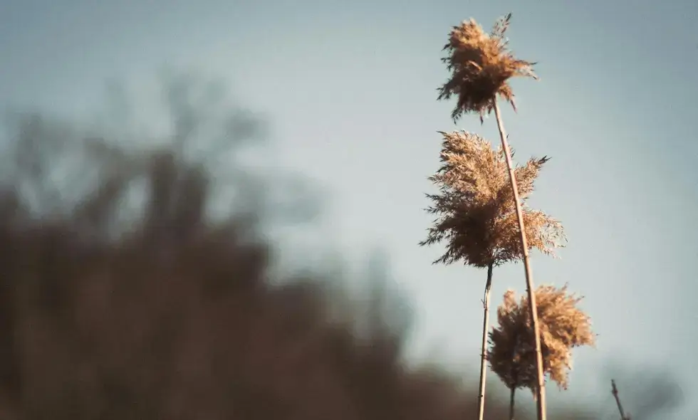 Voyage sur les autoroutes de Roumanie : confort, rapidité et aventure