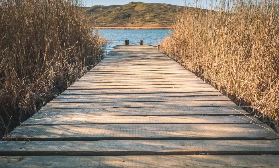 Acquisto vignetta autostradale rumena
