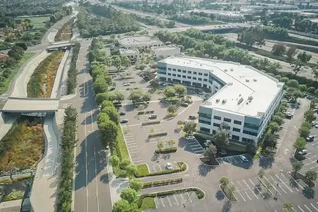 I prezzi previsti delle vignette