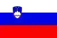 Славенія - РЭГІСТРАЦЫЯ ТС 2025